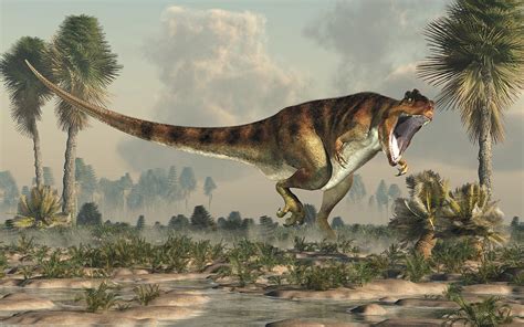 Giganotosaurus Hunting in a Watery Lowland Digital Art by Daniel ...