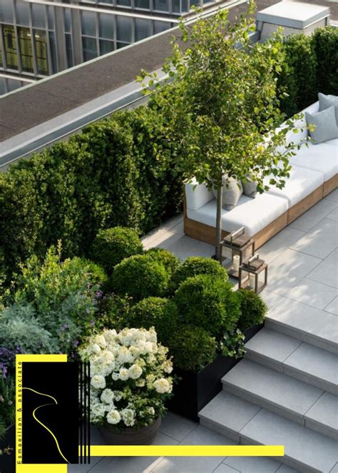 Roof Garden Plants – kki