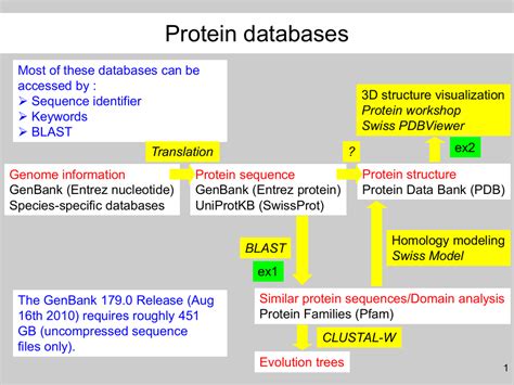 Where to find protein sequences