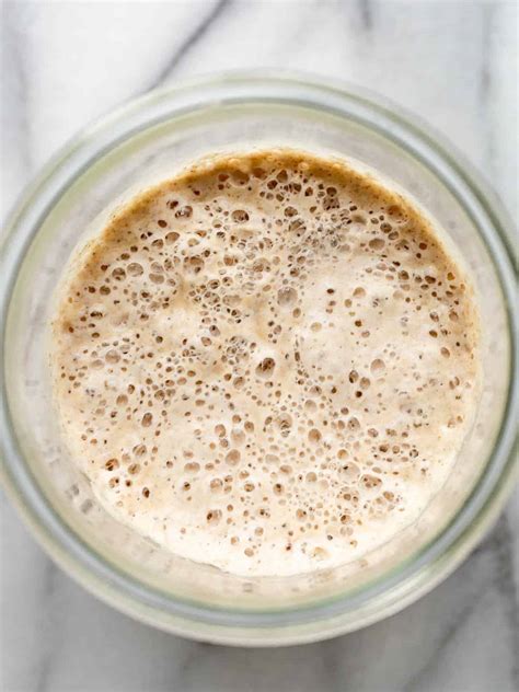 Easy Sourdough Starter Recipe for Beginners - Little Spoon Farm