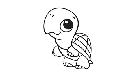 Cartoon Coloring Pages 6 Turtle Drawing Turtle Coloring Pages | Porn Sex Picture