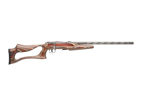 Savage Arms 93R17 BSEV Bolt Action Rifle 17 Hornady Mag Rimfire (HMR)