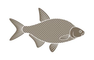 Bream Royalty Free Vector Image - VectorStock