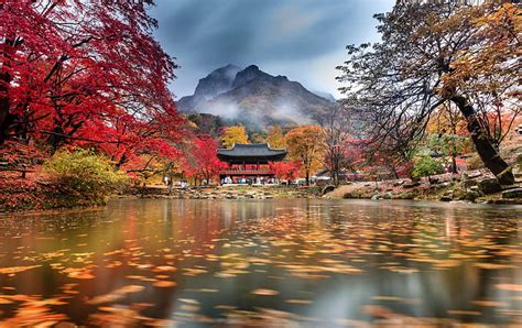 Korea Autumn Wallpaper Hd All of the autumn wallpapers bellow have a ...