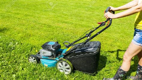 Things To Consider When Choosing The Right Lawn Mowing Equipment