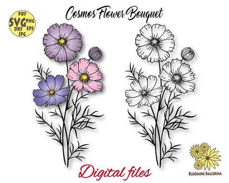 Cosmos Flower Bouquet Svg File, October Birth Flower Svg, Cosmos Flower ...