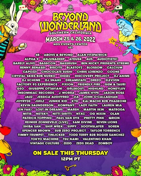 Beyond Wonderland - CoySocorro