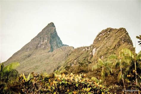 Pico da Neblina, guiado por um Yanomami – Viagem Viva