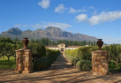 Waterford Estate (Stellenbosch): AGGIORNATO 2021 - tutto quello che c'è da sapere - Tripadvisor