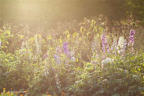 Jake Eastham Photographer | Pythouse Kitchen Garden