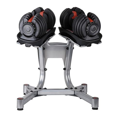 Commercial Use Muscle Exercise Dumbbells Support – Fitnesstogs