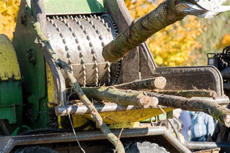 Industrial Wood Chipper in Action Stock Photo - Image of compost, recycle: 104102748