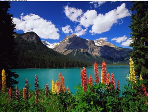 Yoho National Park - Seven Natural Wonders Of Canada