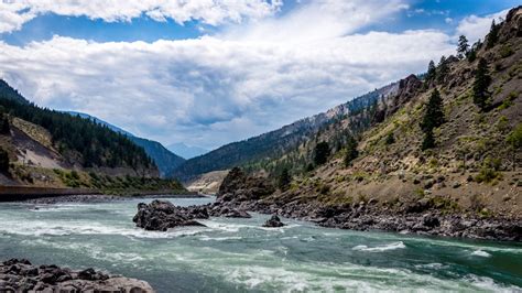 Fraser River Sockeye Forecast 2018 - Island Fisherman Magazine