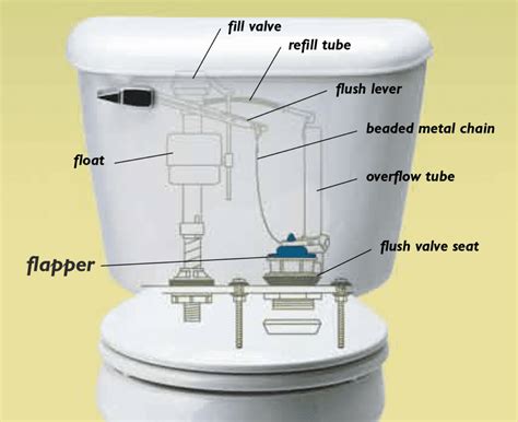 Replace A Toilet Flush Valve Seal, 53% OFF | www.elevate.in