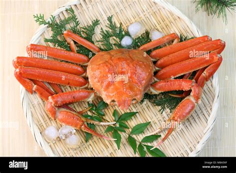 Snow crab hi-res stock photography and images - Alamy