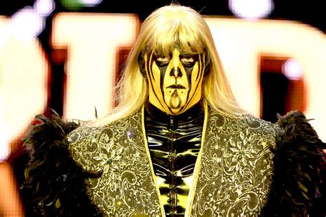 Goldust and 11 More Wrestlers Who Deserve Another WWE Run | News ...