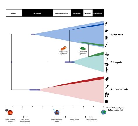 A timescale for the origin and evolution of all of life on Earth