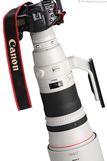 Canon EF 500mm f/4L IS II USM Lens Review