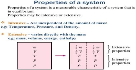 Intensive and Extensive Thermodynamic Properties - QS Study