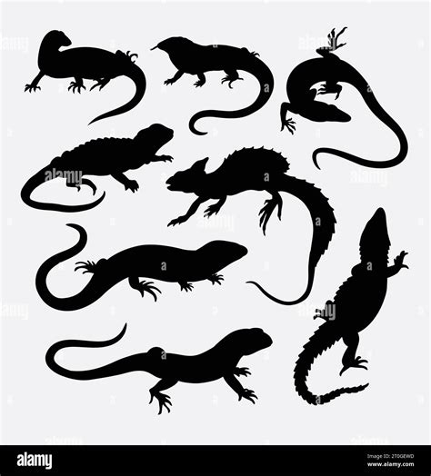 lizard amphibian animal silhouette Stock Vector Image & Art - Alamy
