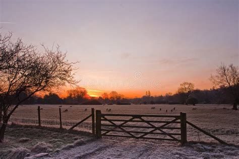 Water meadows sunset stock photo. Image of meadows, natural - 23818296