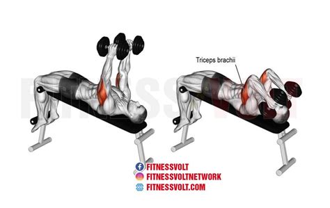 Decline Dumbbell Tricep Extension (Triceps) – Fitness Volt