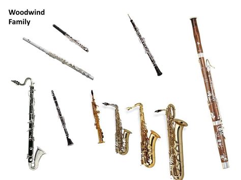 TOUCH this image: Woodwind Family by Terri Lloyd | Woodwind, Woodwinds, Family