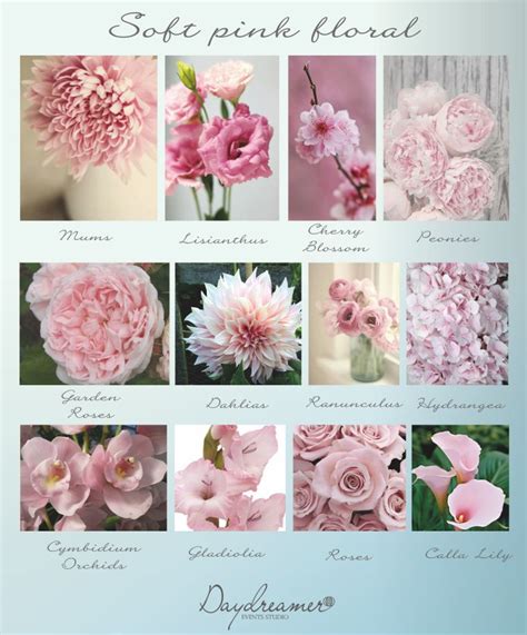 Bridal floral- colours Rose Quarts & Serenity | Pink flower arrangements, Pink flower names ...