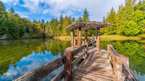 Silver Lake Campground, Fall Time