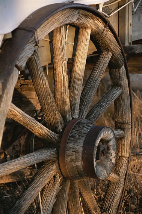 Wagon Wheel On Covered Wagon At Bar 10 Photograph by Todd Gipstein