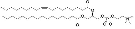 Phosphatidylcholine (PC) - Nootropics Expert