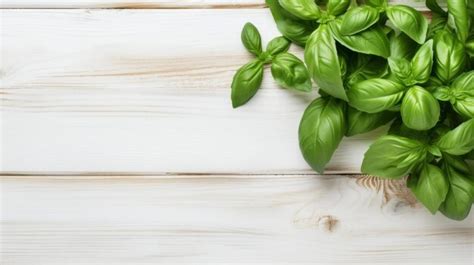 Premium Photo | Aromatic Basil Herbs Horizontal Background.