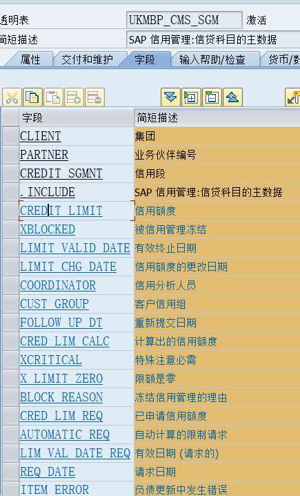 SAP信贷额度表UKMBP_CMS_SGM - 一贴灵 - 博客园