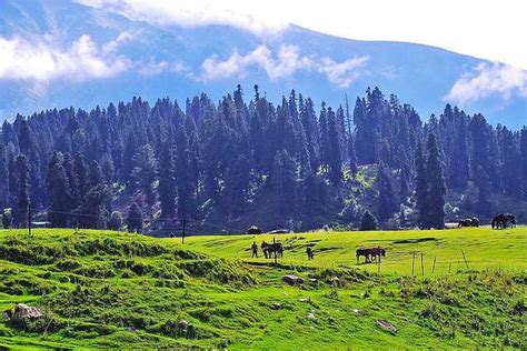 Gulmarg Tourism (2020) - Jammu & Kashmir > Top Places, Travel Guide