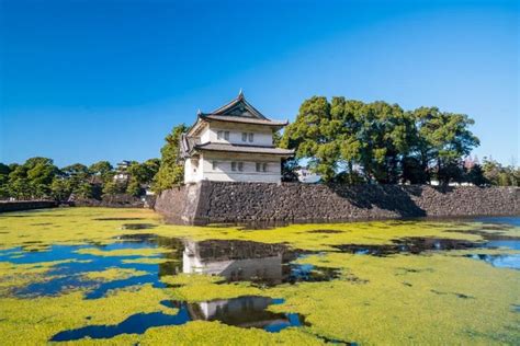 Tokyo Imperial Palace East Garden | Places to visit, Tokyo imperial ...