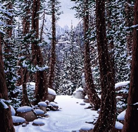 Forest Trees GIF - Forest Trees Snow - Discover & Share GIFs