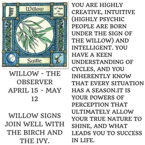 Celtic Tree Astrology - Willow | Celtic tree astrology, Celtic tree ...