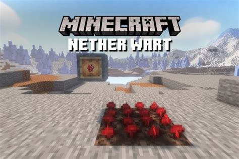 What is Nether Wart in Minecraft? All You Need to Know | Beebom