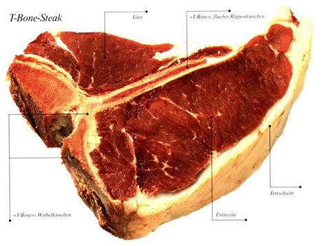 Parts Of The T Bone Steak