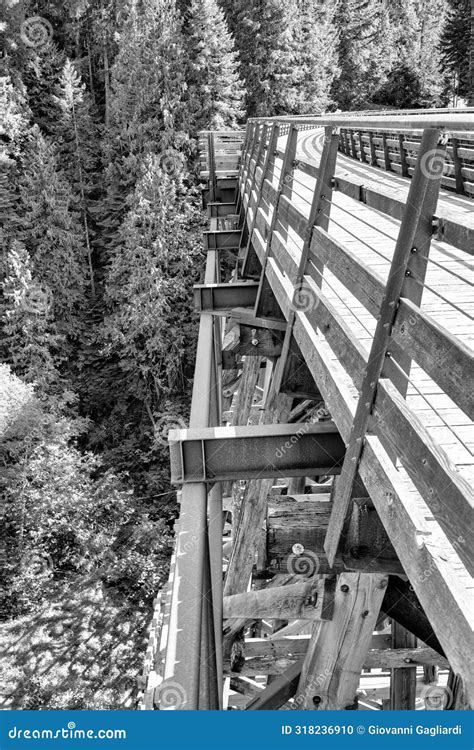 Amazing View of Kinsol Trestle Bridge in Vancouver Island - Canada ...