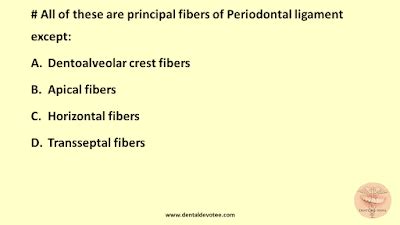 Dentosphere : World of Dentistry: Principal fibers of PDL