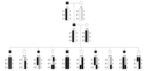 Genetic Linkage Analysis | Genetics and Genomics | JAMA Neurology ...