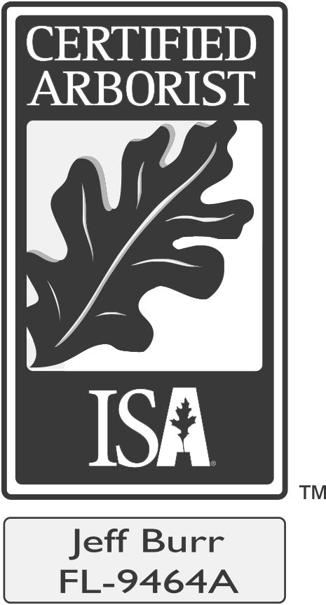 ISA Certified Arborist Serving Melbourne, Viera, Palm Bay, Florida