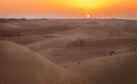 Exploring the Dubai Desert Conservation Reserve - Lonely Planet