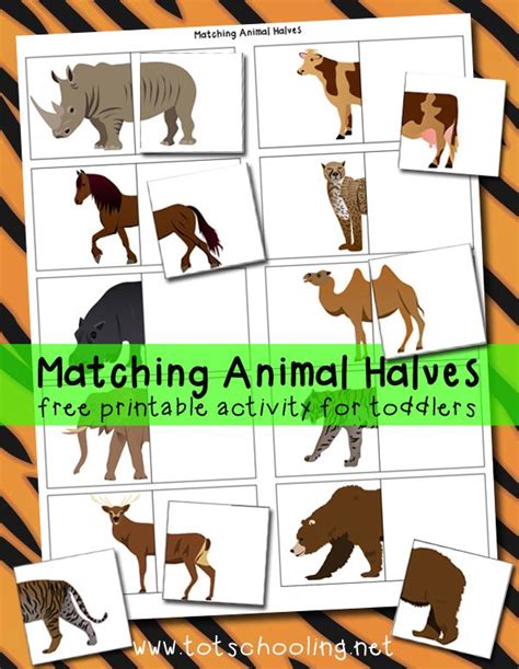 Matching Animal Halves Printable Activity | Zoo activities, Zoo ...