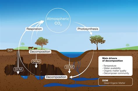 Decomposition