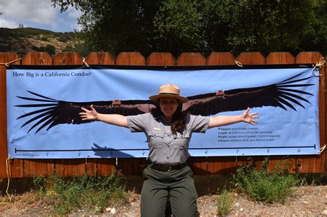 Here is our Condor Wingspan!... - Pinnacles National Park | Facebook