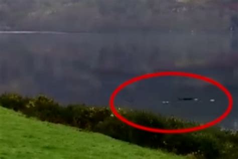 Loch Ness Monster Real Images - Infoupdate.org