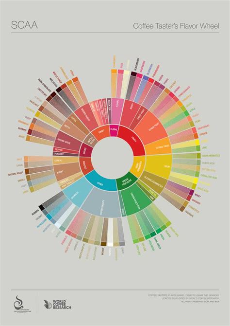 Guide to Coffee Roasting Levels with Charts! Info Before You Buy ...